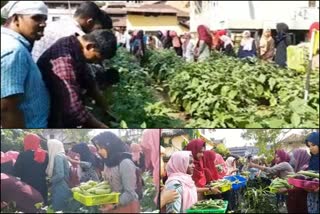 kozhikode city  vegetable harvest in a plastic polluted area  organic farming  മാലിന്യക്കൂമ്പാരമായിരുന്ന പ്രദേശത്ത് വിളവെടുത്തത് നൂറ് മേനി  കോഴിക്കോട്  കോഴിക്കോട് കാര്‍ഷിക വാര്‍ത്തകള്‍