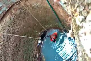 The woman rescued the dog from the well