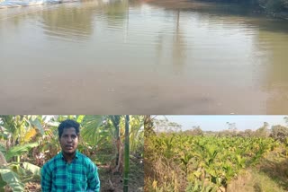 Young farmer's achievement in fish farming