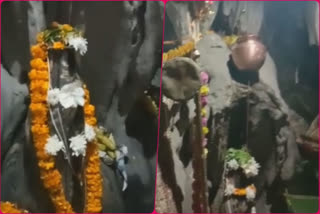 raw video: In Solan, milk fall on Shivling from rocks in Shiv Tandava cave