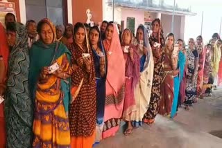 Second phase of voting for three-tier panchayat elections in Balod