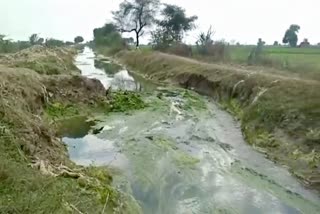 Etawah branch canal in Kota, गैंता वितरिका में पानी नहींं