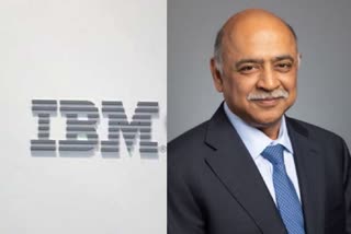 ibm