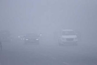 heavy fog in chandigarh