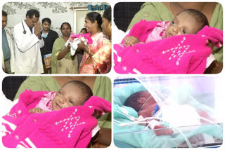 The orphaned baby was handed over to doctors' childcare staff at east godavi