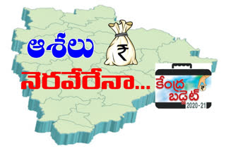 Telangana state  applications for the before central  budget