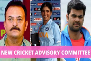 Madan Lal, RP Singh, Sulakshana Naik, BCCI's Cricket Advisory Committee