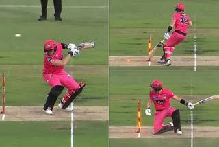 BBL Team Celebrates Steve Smith's Hit Wicket Dismissal, But He Remains Not Out