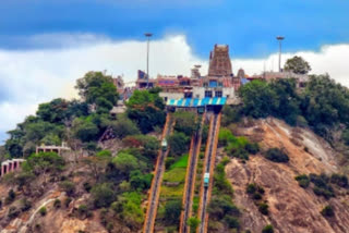 special prayer in anna memorial day at palani temple