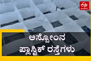 ಅಸ್ಸೋಂನ ಪ್ಲಾಸ್ಟಿಕ್​ ರಸ್ತೆಗಳು, Plastic road in Assam