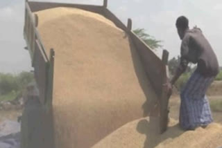 Paddy purchase Farmers wait