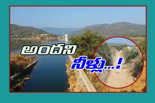 the-water-from-the-last-canal-of-the-annamayya-main-canal