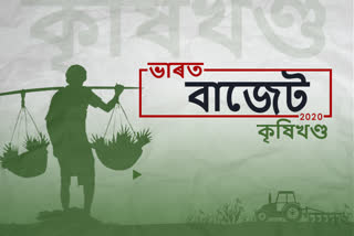 বাজেট 2020