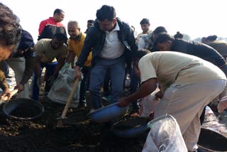 Collector-SP performed Shramdaan in Bori Bandhan