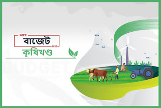 বাজেট 2020