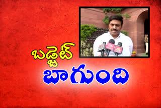 YCP mp ragu rama krishnamaraju comments on central budjet