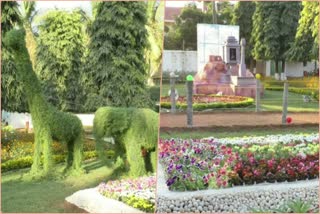 Flower show in chitradurga