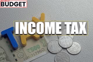 New income tax regime big disincentive to investment: Analysts