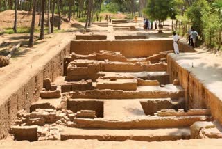 writer Muthalankurichi Kamarasu interview about Adichanallur Museum of Archeology