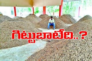 no minimum price to turmeric  crop