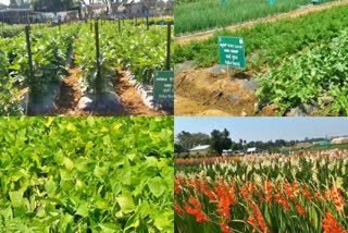 Feb. 5 th National Horticulture Fair held in yalahanka