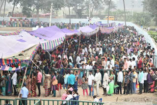 rathasaptami celebrations in Arasavelli