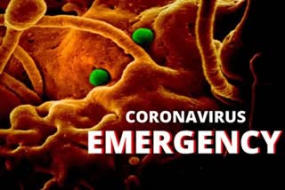 coronavirus in india