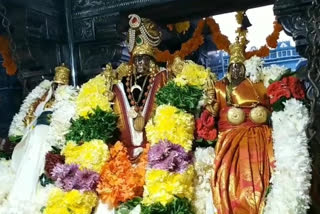 ratha saptami celebrations  in bhadrachalam