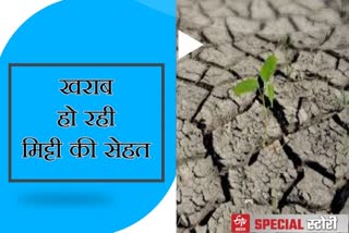 झुंझनू न्यूज, राजस्थान न्यूज, jhunjhunu news, agriculture news