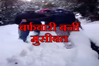 Snowfall Video Kinnaur