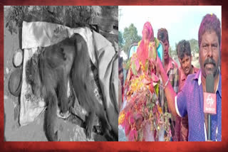 last rites of monkey died and guntur east bazar people respond to this