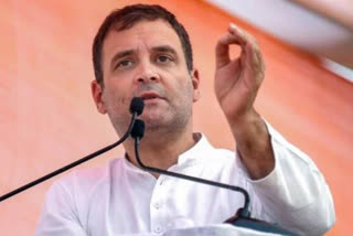 rahul gandhi comments on modi exercise