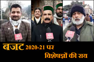 experts opinion on union budget 2020-21