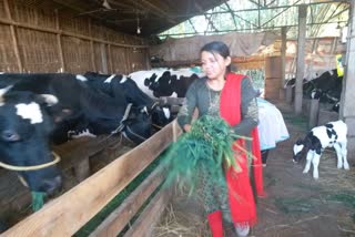 A milk dairy farm starts by a women in Dhemaji