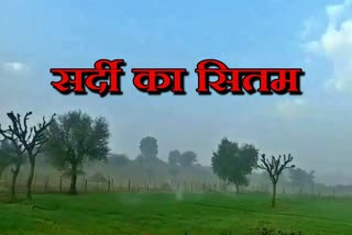 सीकर की खबर, sikar winter news