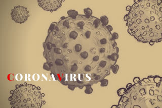 Corona Virus