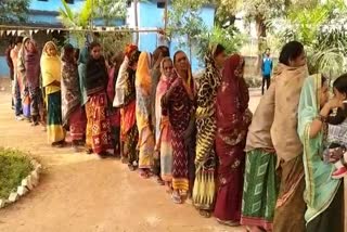 Polling in third phase of three tier panchayat elections in Raigarh