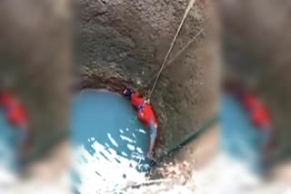 Dog allegedly fell into the well after a fight with other street dogs, நாயின் உயிரைக் காப்பாற்றிய தாய், Dog allegedly fell into the well, dog rescue viral video, dog viral video, mangalore dog viral video, stray dog viral video