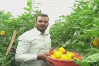 success-story-of-young-farmer-in-sonapur-yavatmal