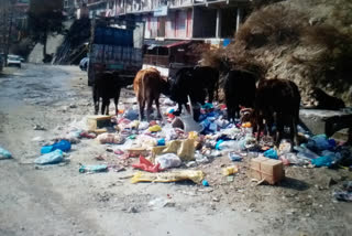 garbage collection issue in kinnaur