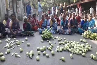 Puducherry Farmers Market Employees Demonstrated