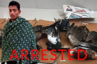 Poacher arrested