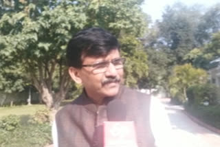 Sena leader Sanjay Raut slams Centre over CAA protests