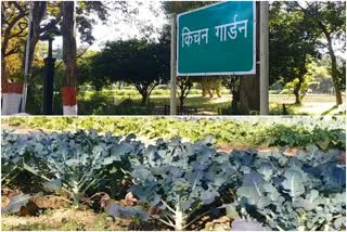 Raj Bhavan Garden Open for Common People in Ranchi