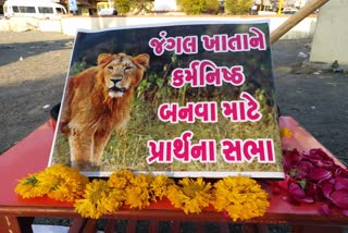 જૂનાગઢ