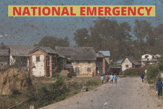 Pak declares national emergency to combat locusts