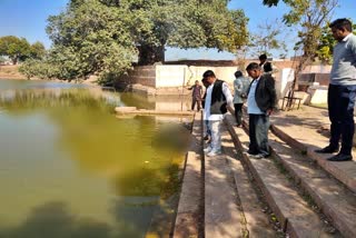 Fish dying in pond of Bhopalgarh, bhopalgarh news, भोपालगढ़ शिम्भेश्वर तालाब, तालाब में मर रही मछलियां