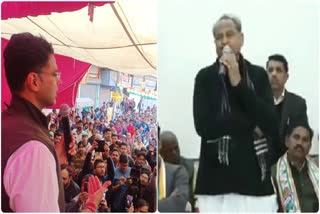 Ashok Gehlot, दिल्ली विधानसभा चुनाव