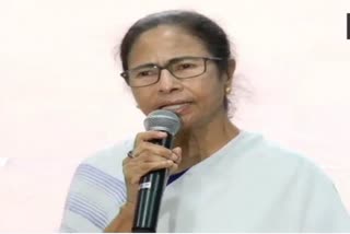 Mamata banerjee