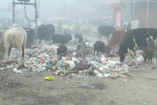 garbage problem in ambala